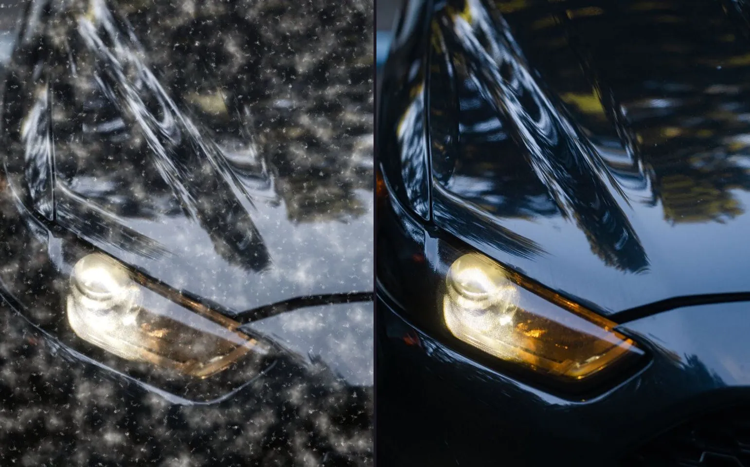 A before photograph beside an after: on the left, the front quarter of a black car under a dust film with the reflections gone flat; on the right, the same car polished, the reflections sharp.