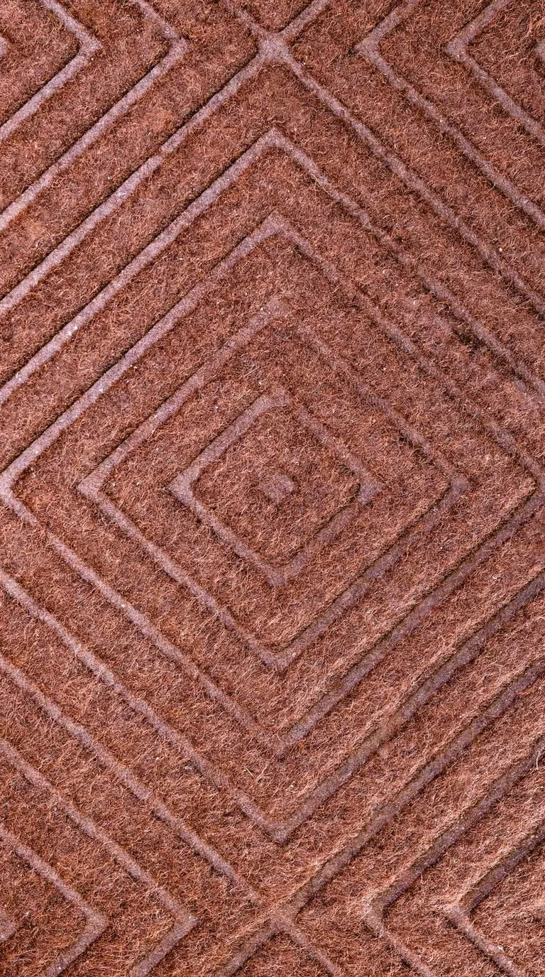 The same carpet in the same frame, the pattern and the red back in the pile