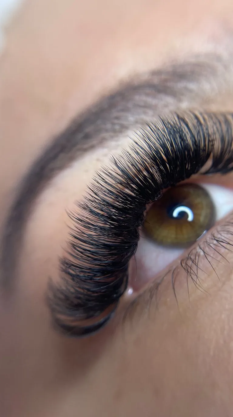 A close view of an eye with a finished lash set and a groomed brow above it