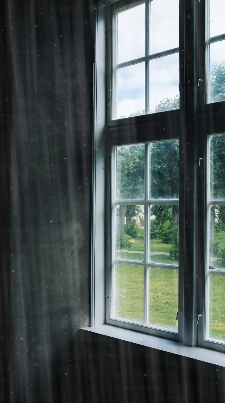 A window pane hazed with vertical smears and dust, the garden behind it muddied